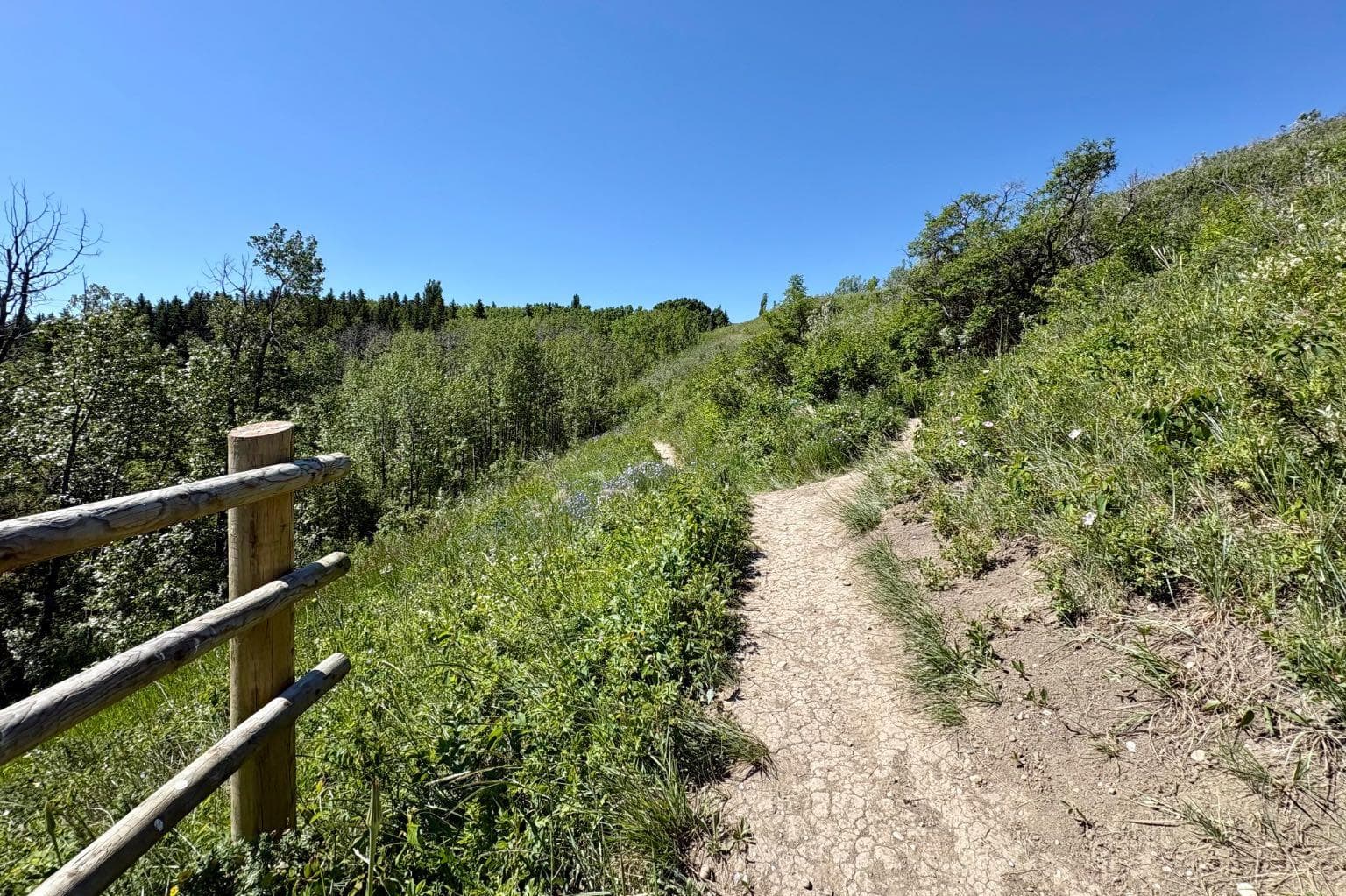 86 Tuscany Ravine Road NW