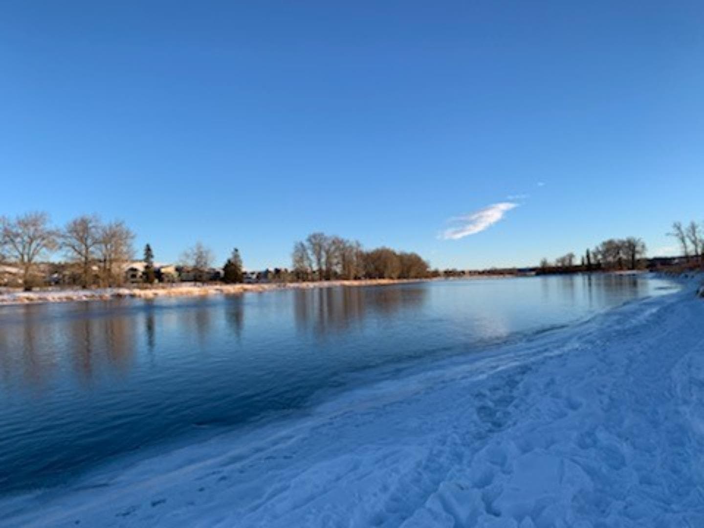 319 Wolf River Drive SE