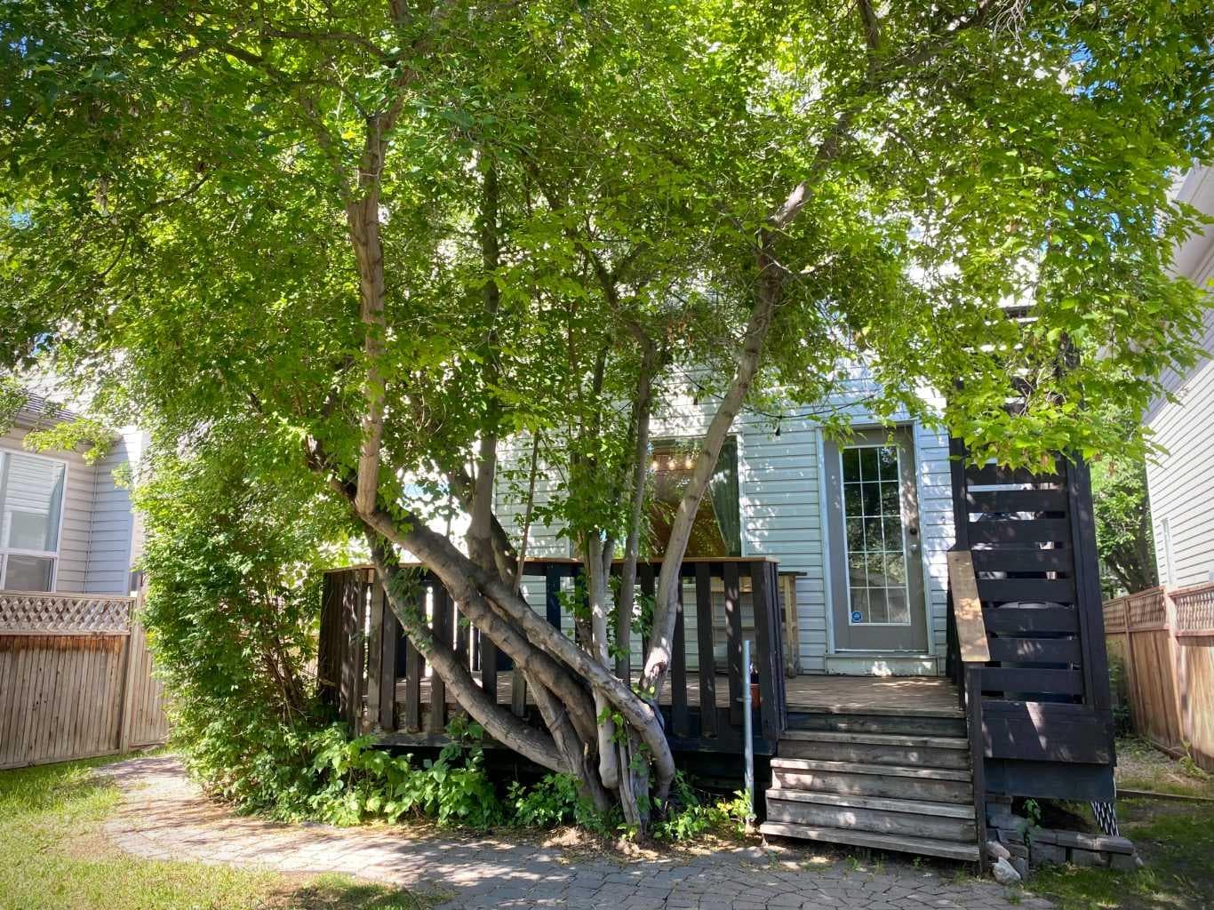 10 Elgin Drive SE
