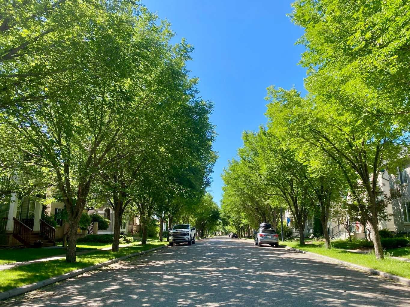 10 Elgin Drive SE