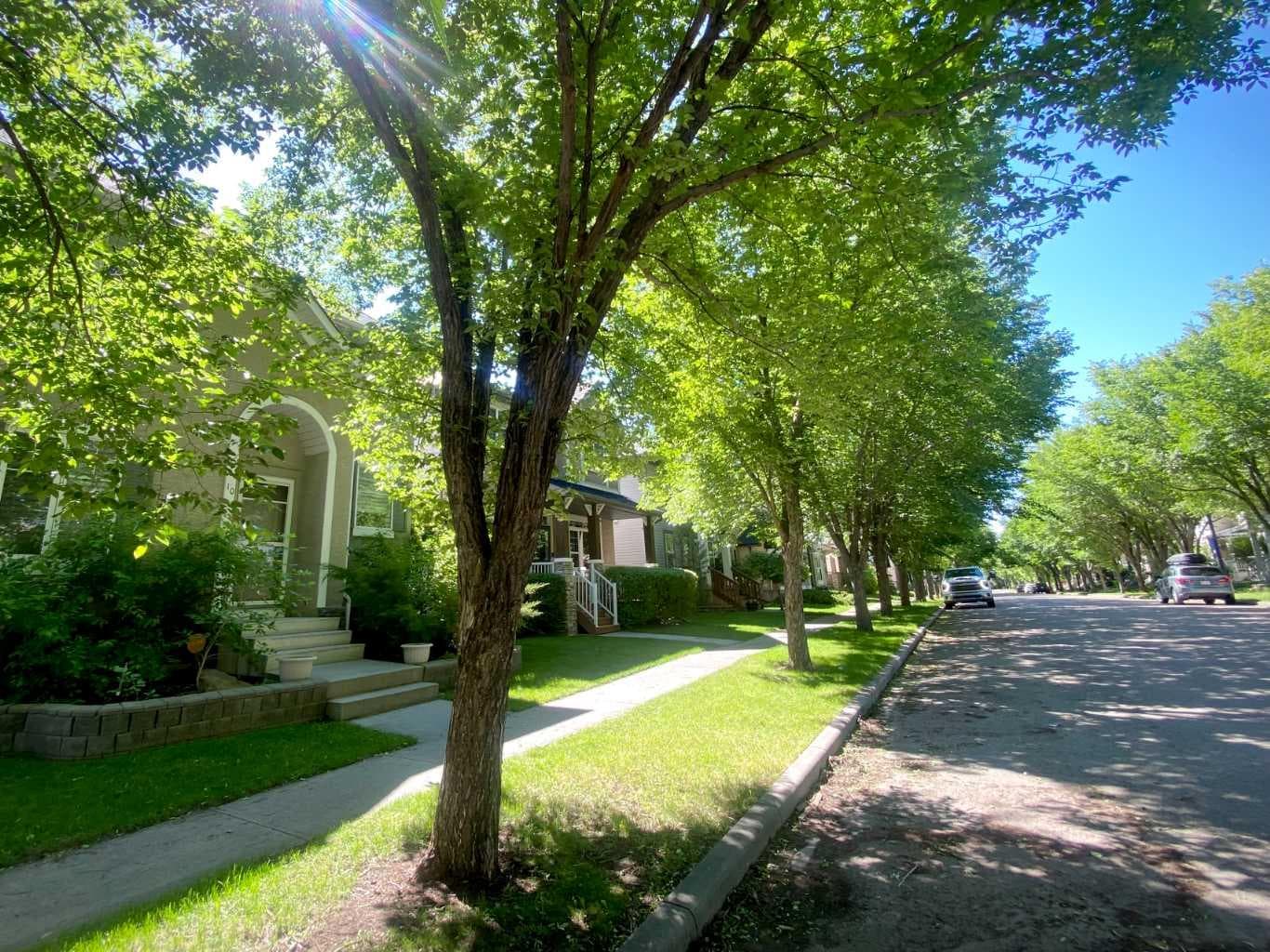 10 Elgin Drive SE