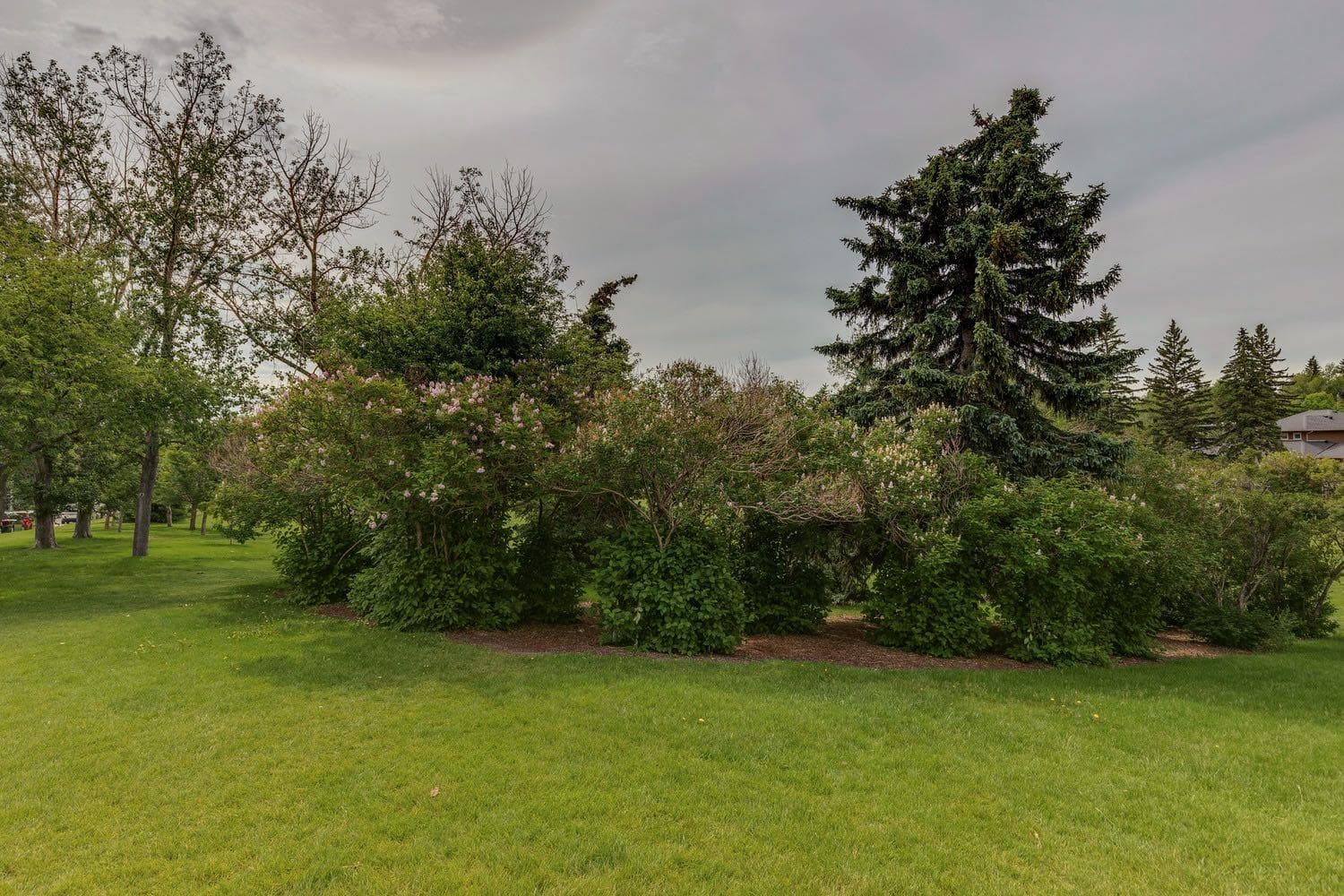 2144 Chilcotin Road NW