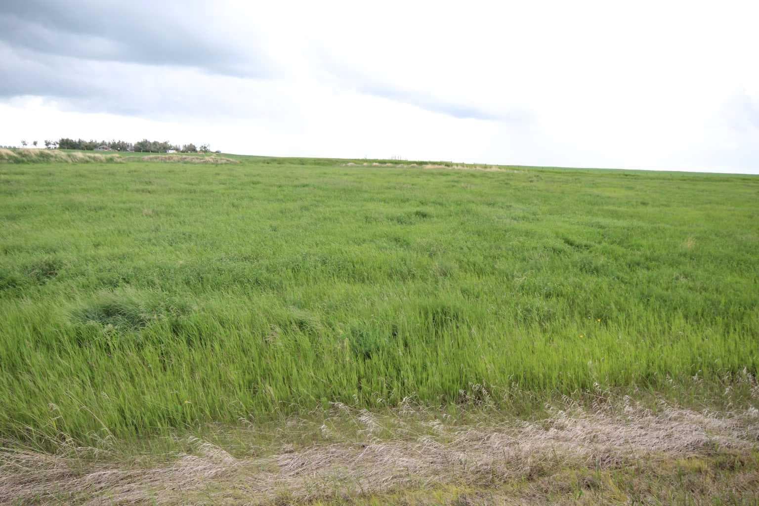 271016 Township Road 264  