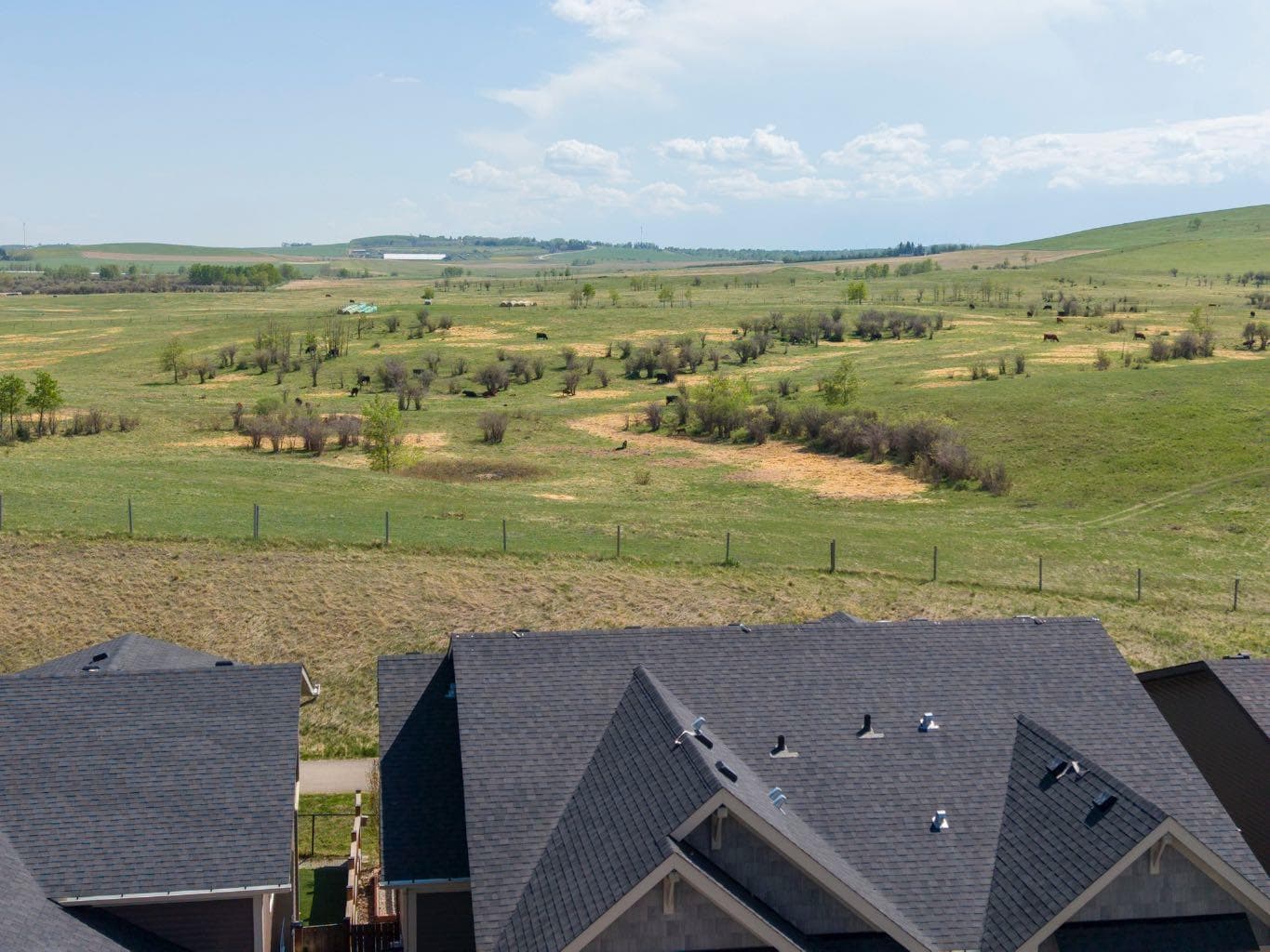 53 Fireside Crescent 