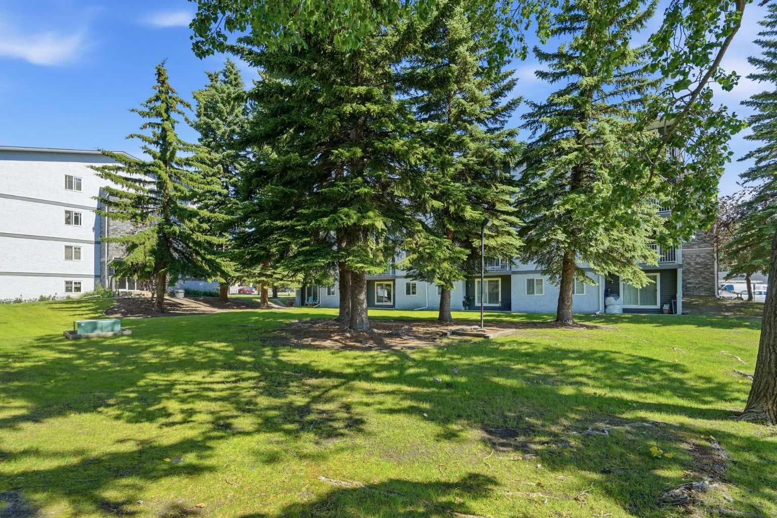 203B, 5601 Dalton Drive NW