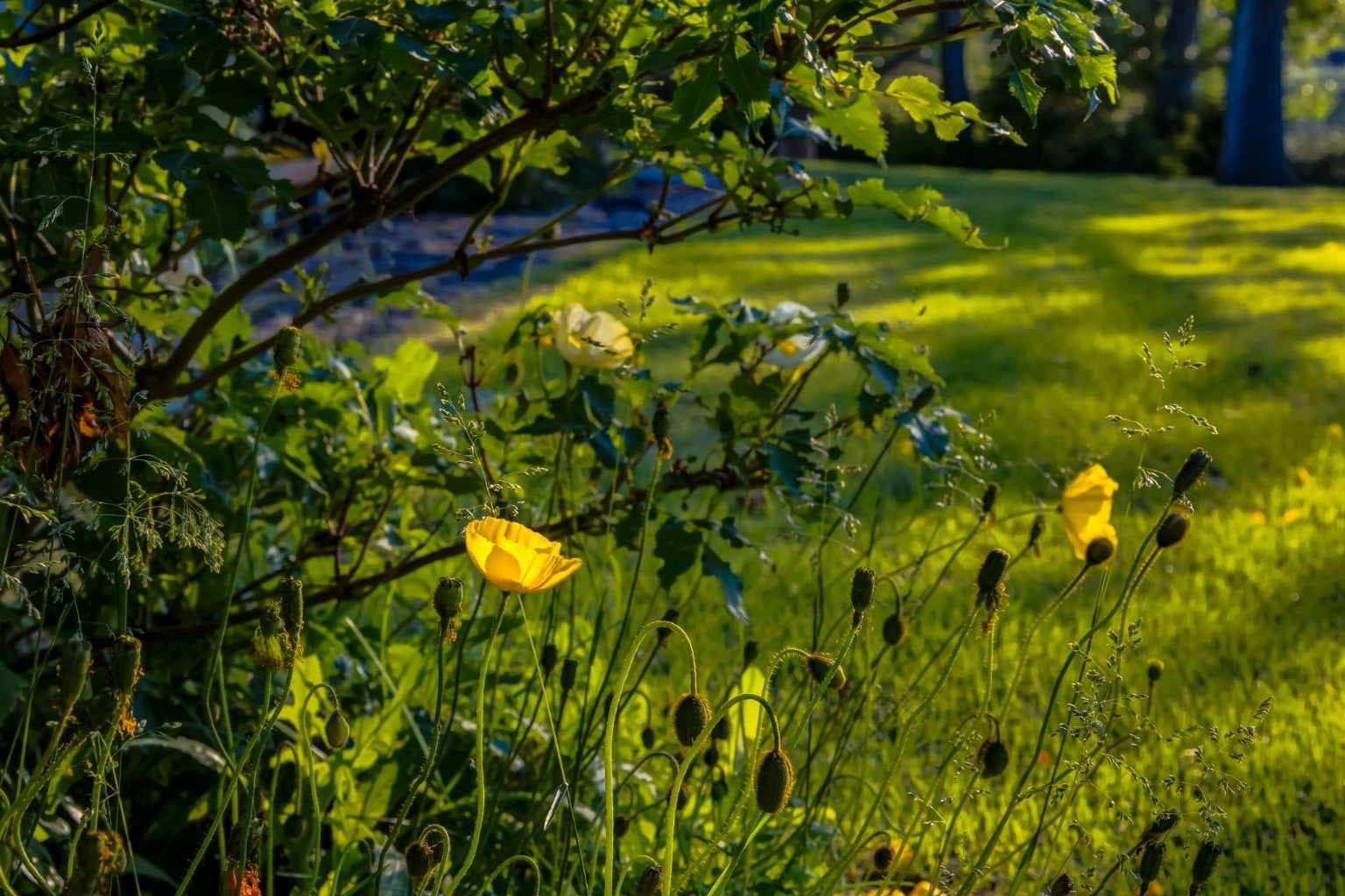 43 Cullen Creek Estates 