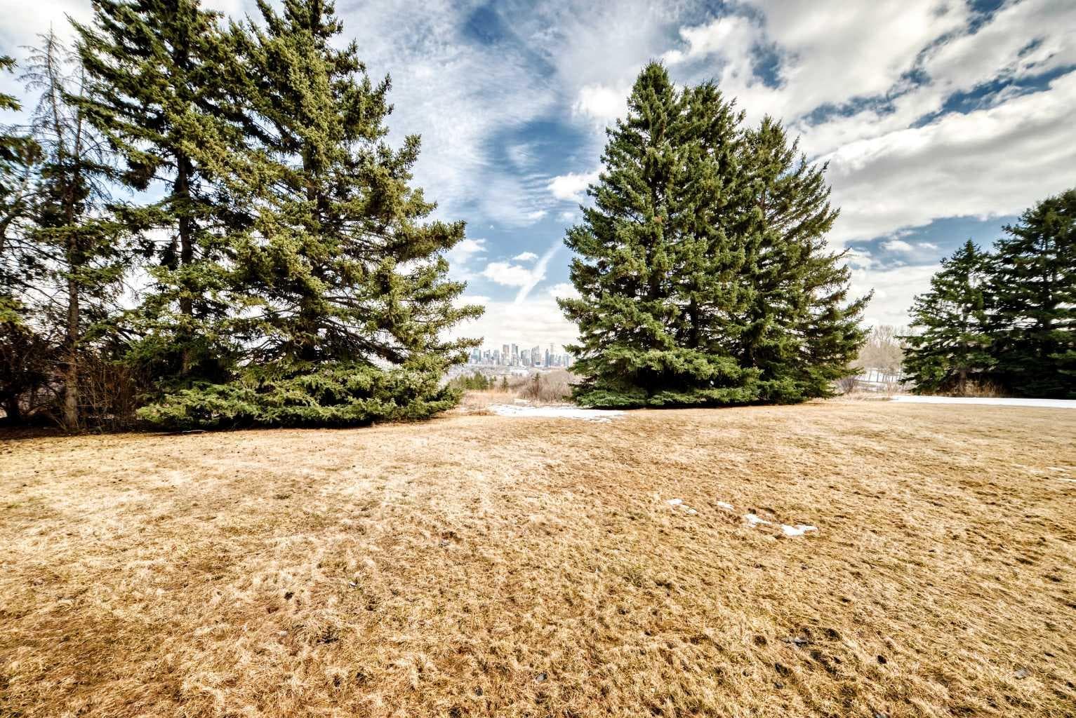 201, 512 Cedar Crescent SW