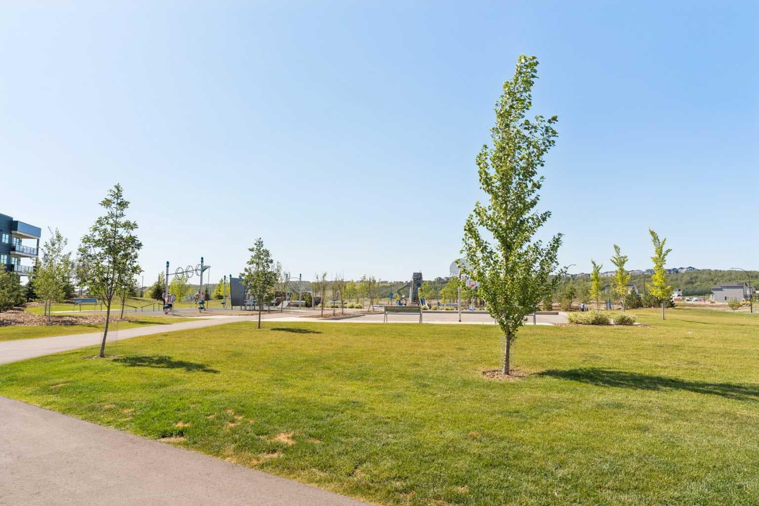 218, 55 Wolf Hollow Crescent SE