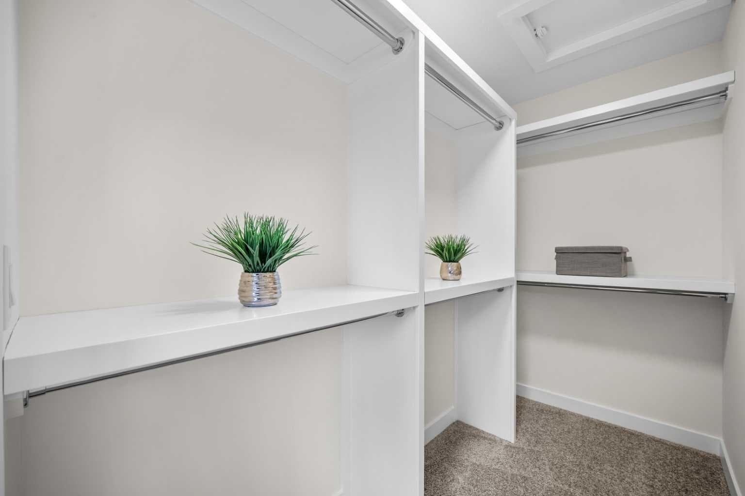 305 Precedence View 