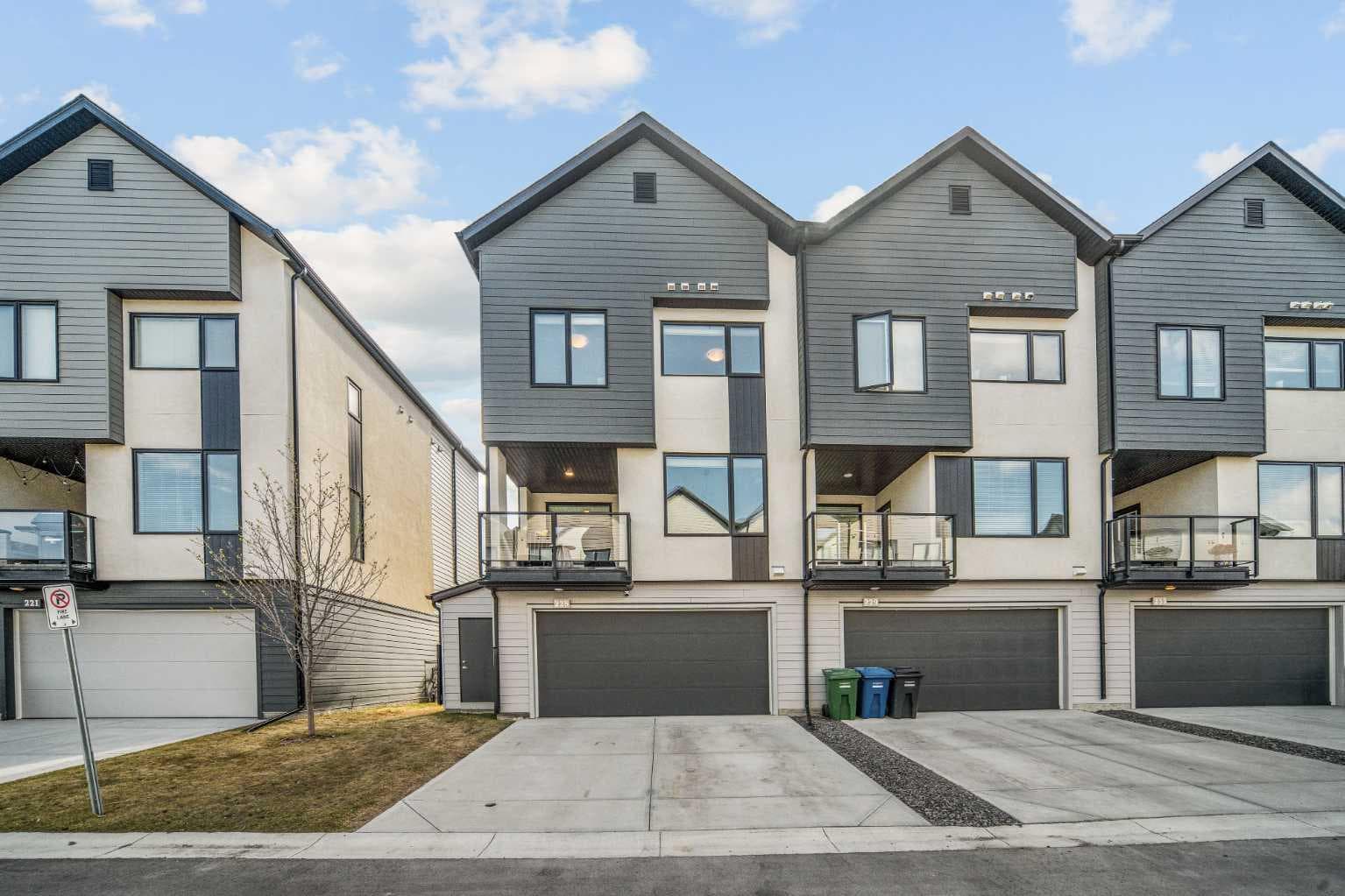 225 Alpine Rush View 