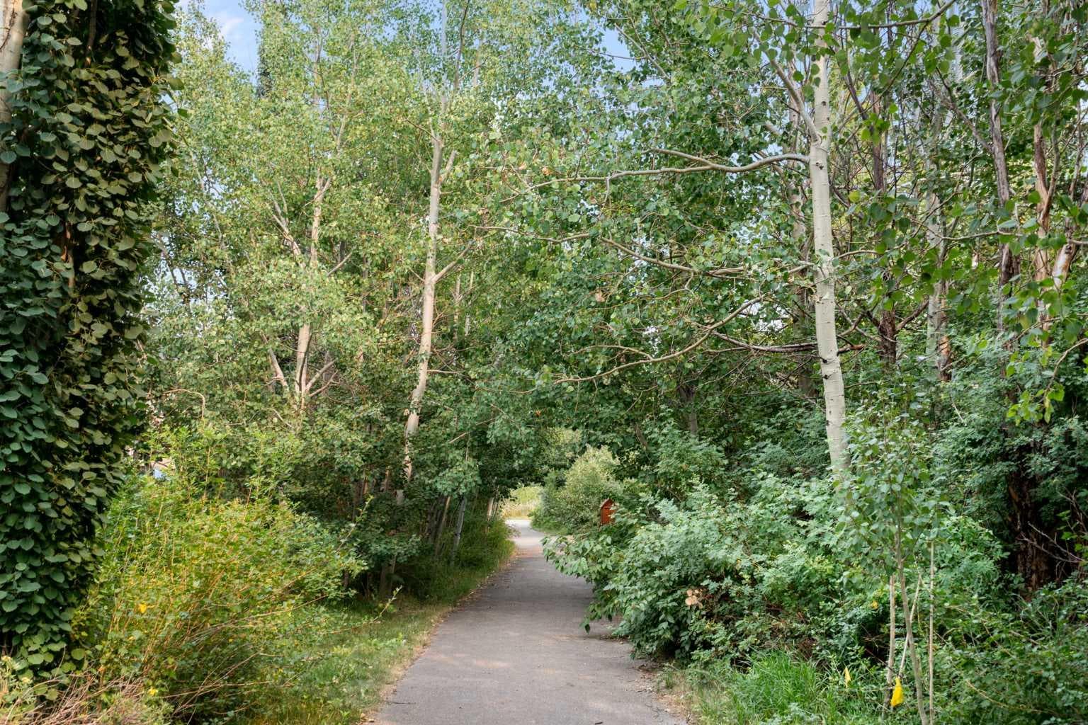 8 Coulee Park SW