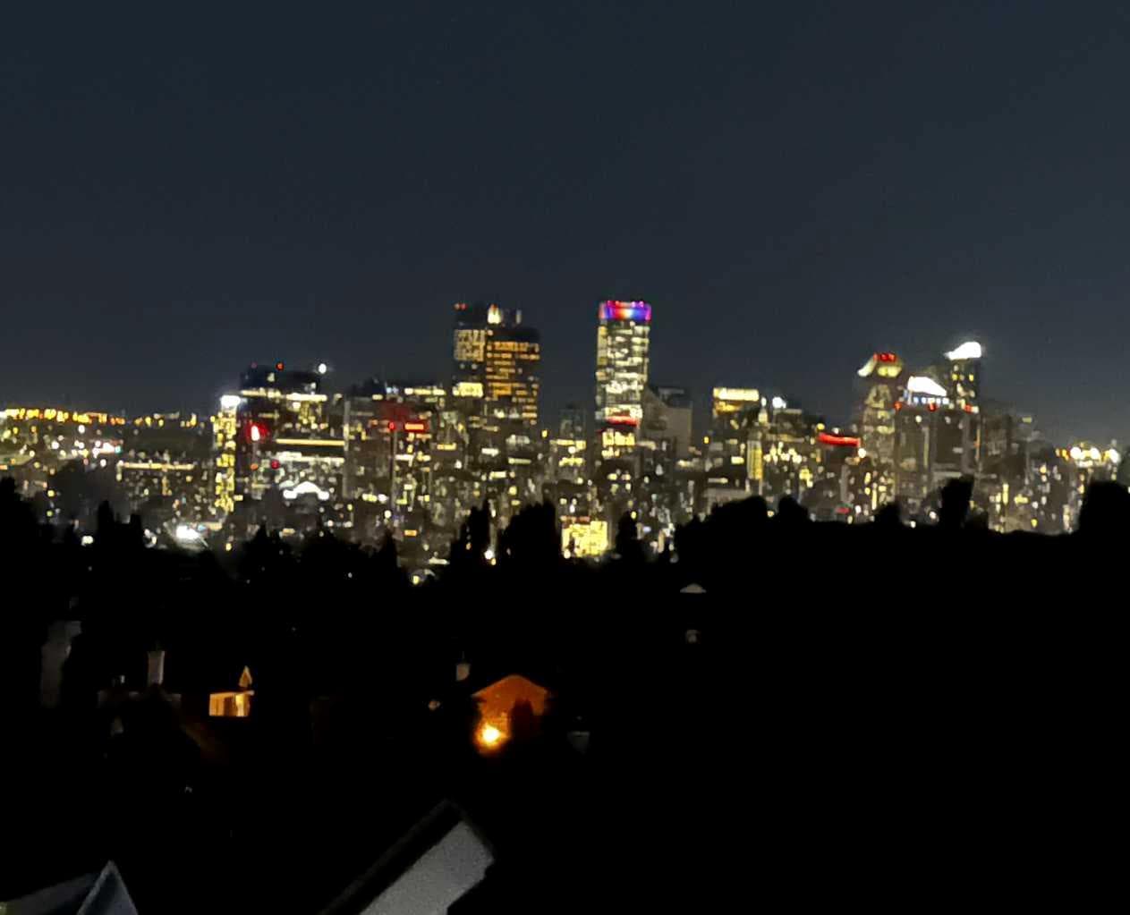 501 Patterson View SW