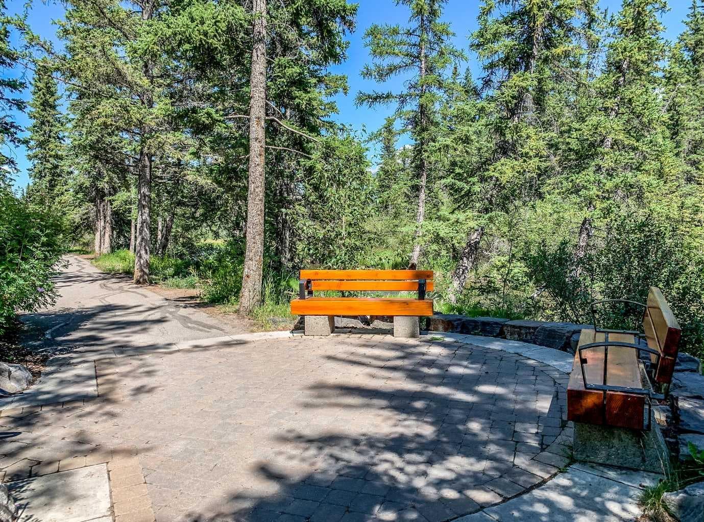 205, 600 Spring Creek Drive 
