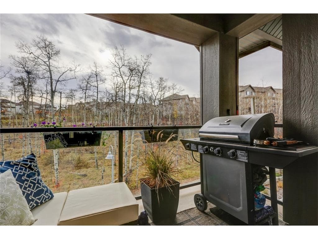 313, 25 Aspenmont Heights SW