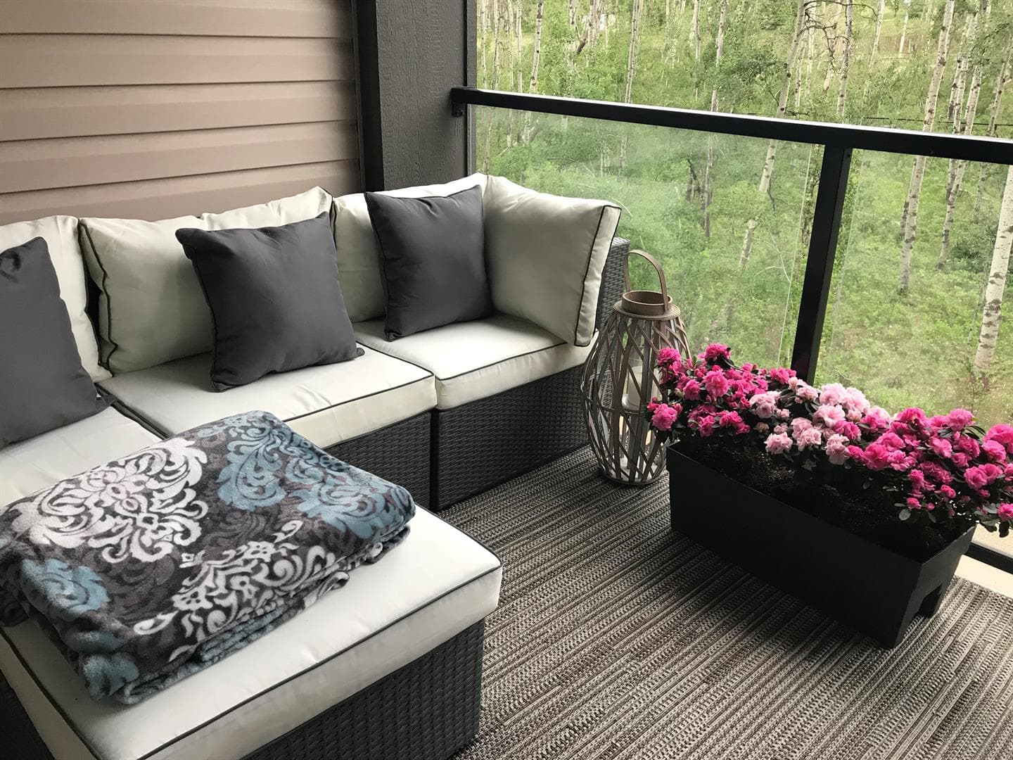 313, 25 Aspenmont Heights SW