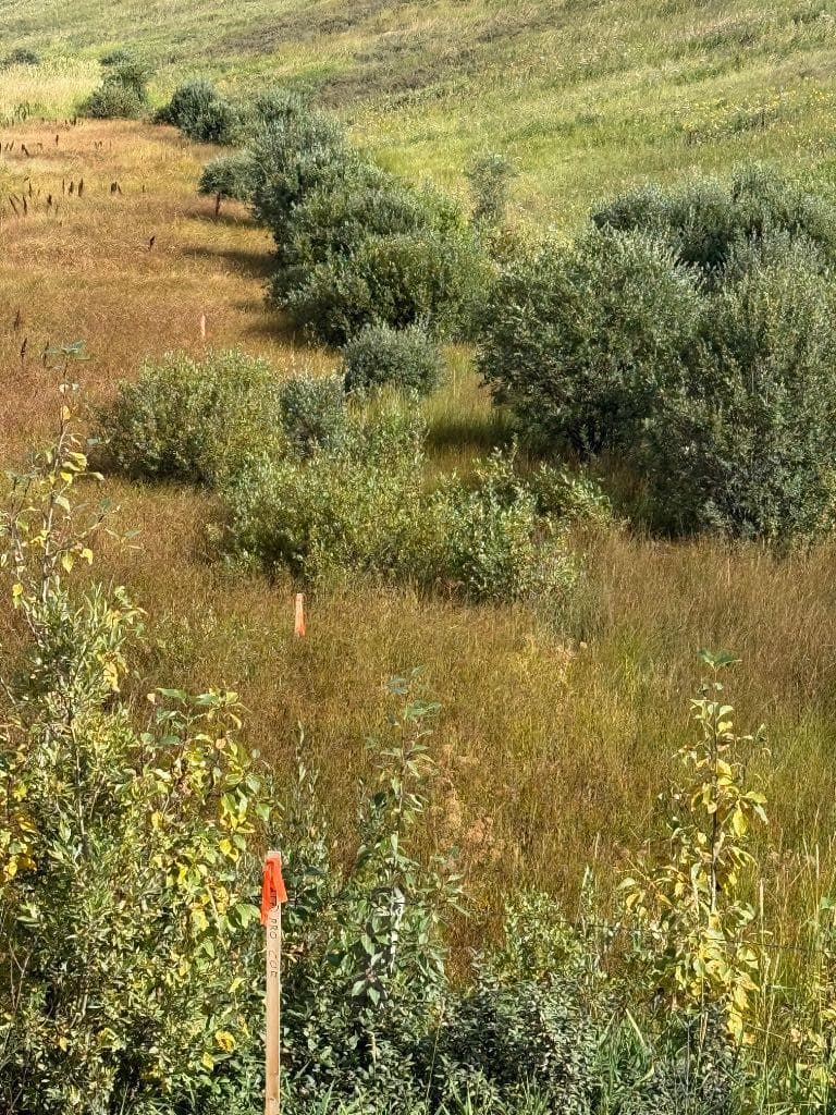  Township Rd 284  