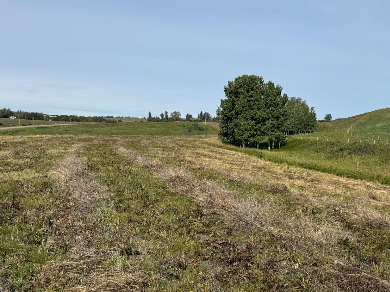 Township Rd 284  