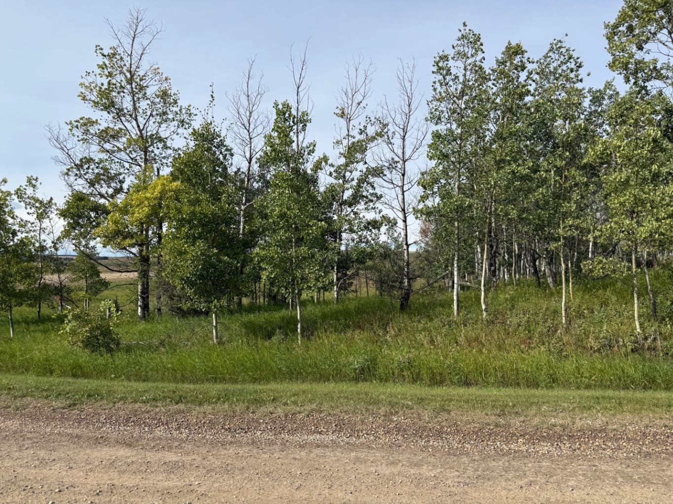  Township Rd 284  
