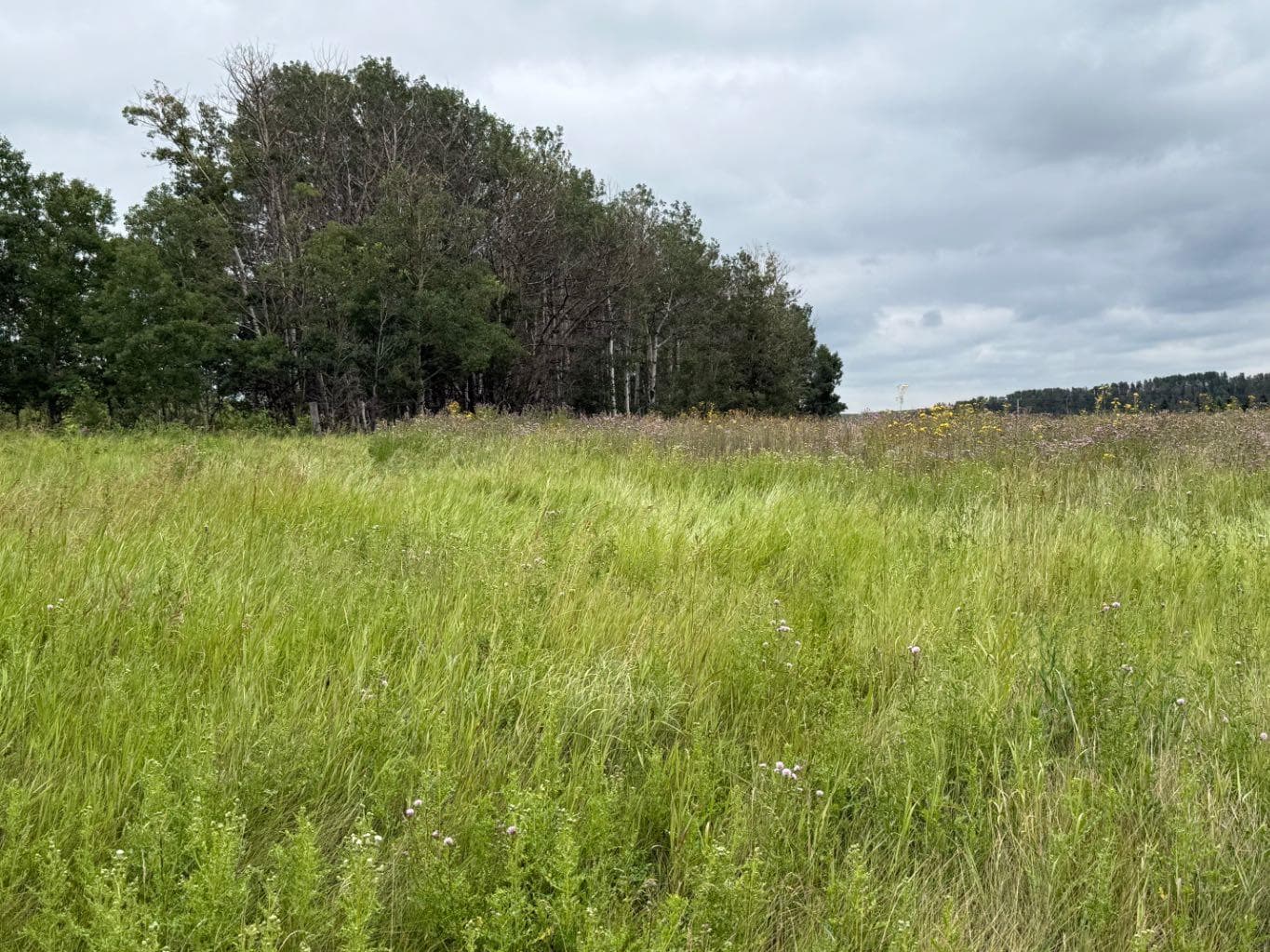  Township Rd 284  