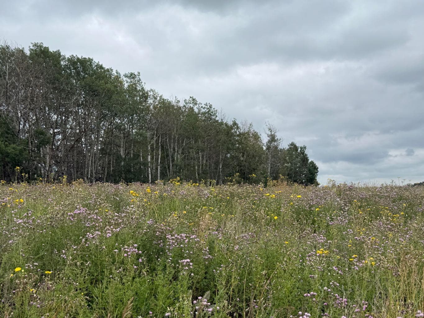  Township Rd 284  