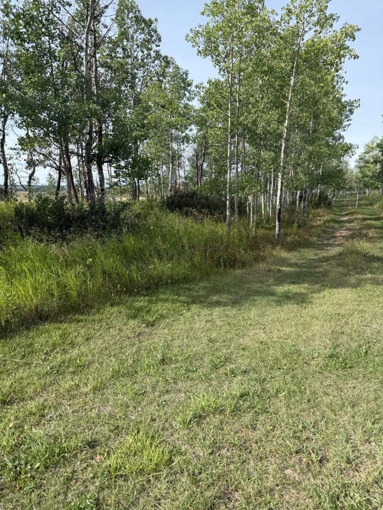  Township Rd 284  