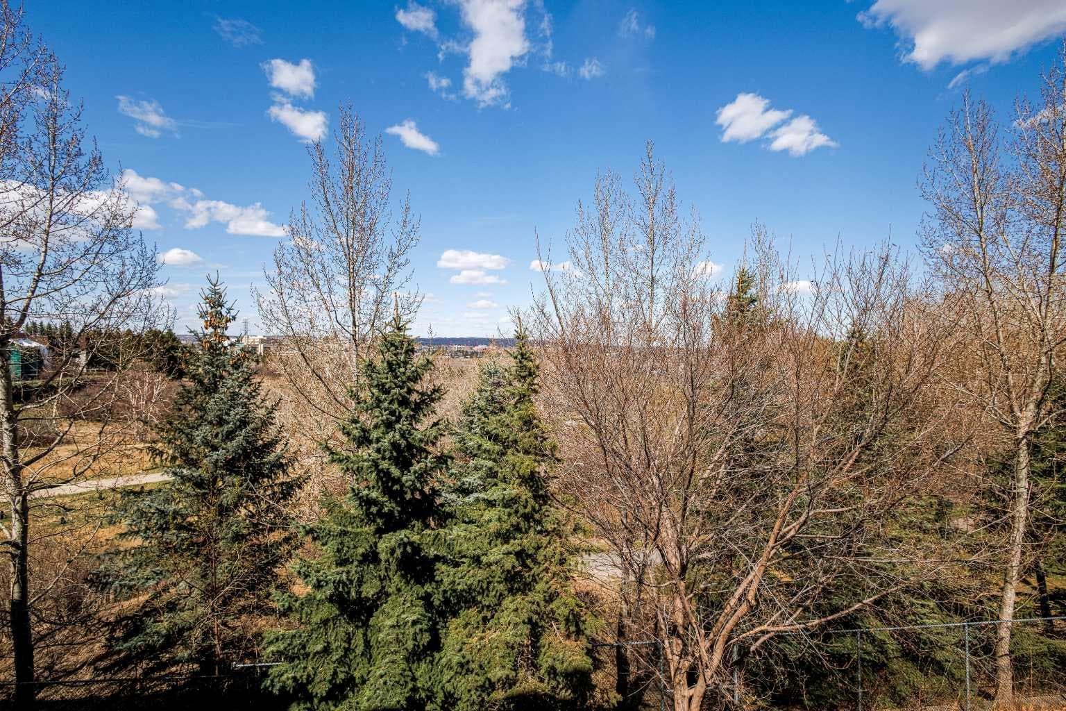 304, 8 Hemlock Crescent SW