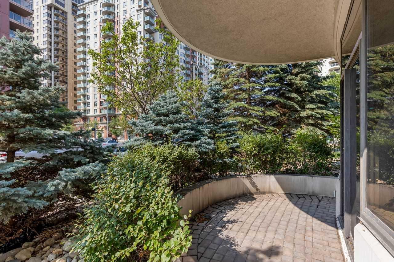 102, 1088 6 Avenue SW