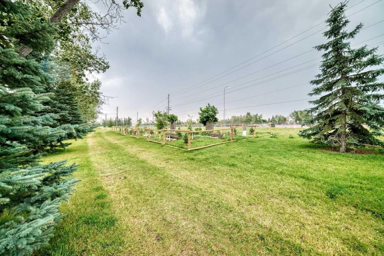 728 Willacy Drive SE
