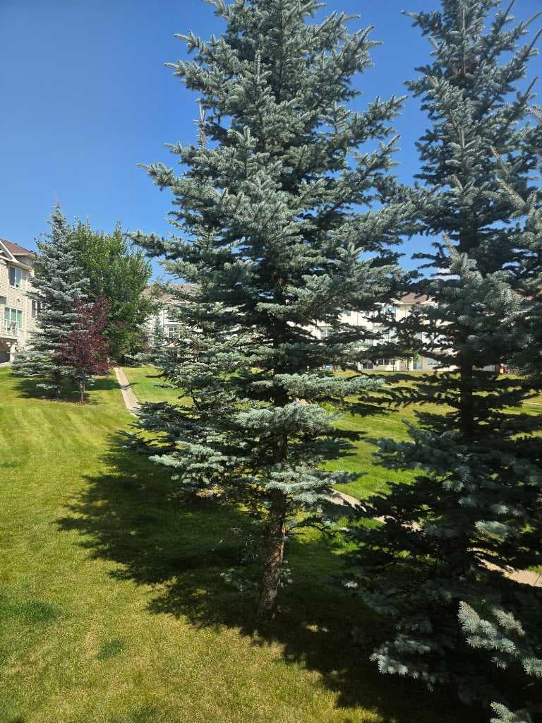 296 Sunset Point 