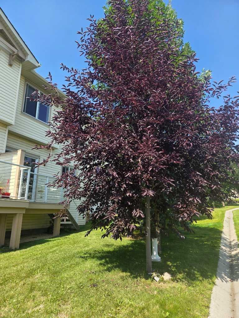 296 Sunset Point 