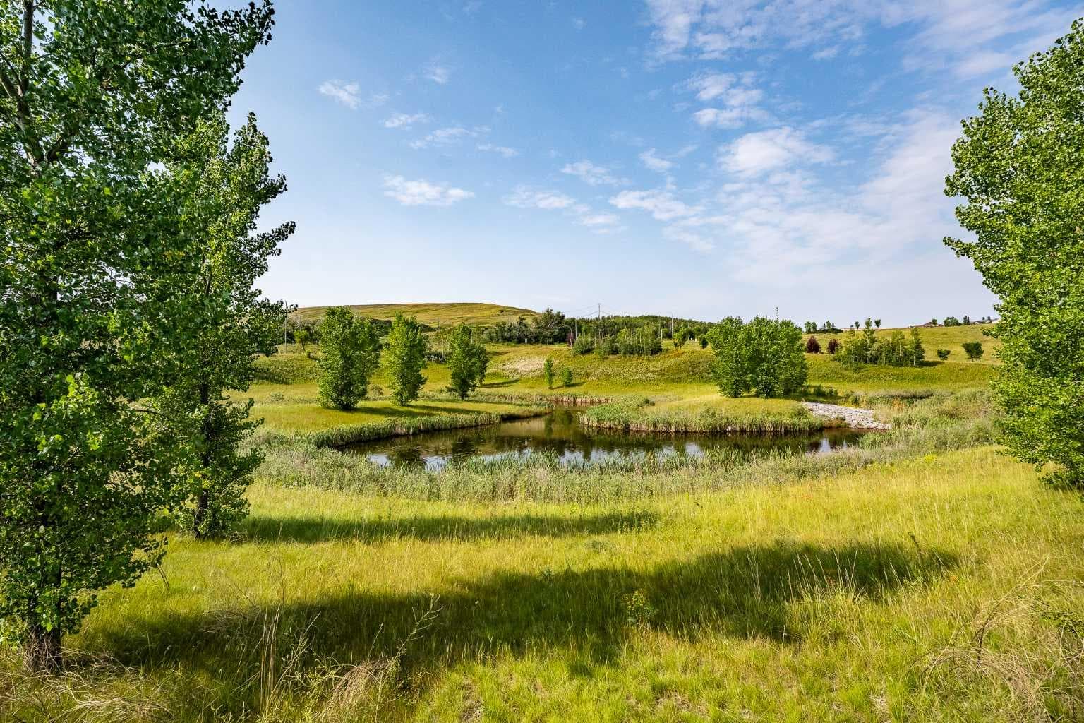3 Chaparral Valley Gardens SE