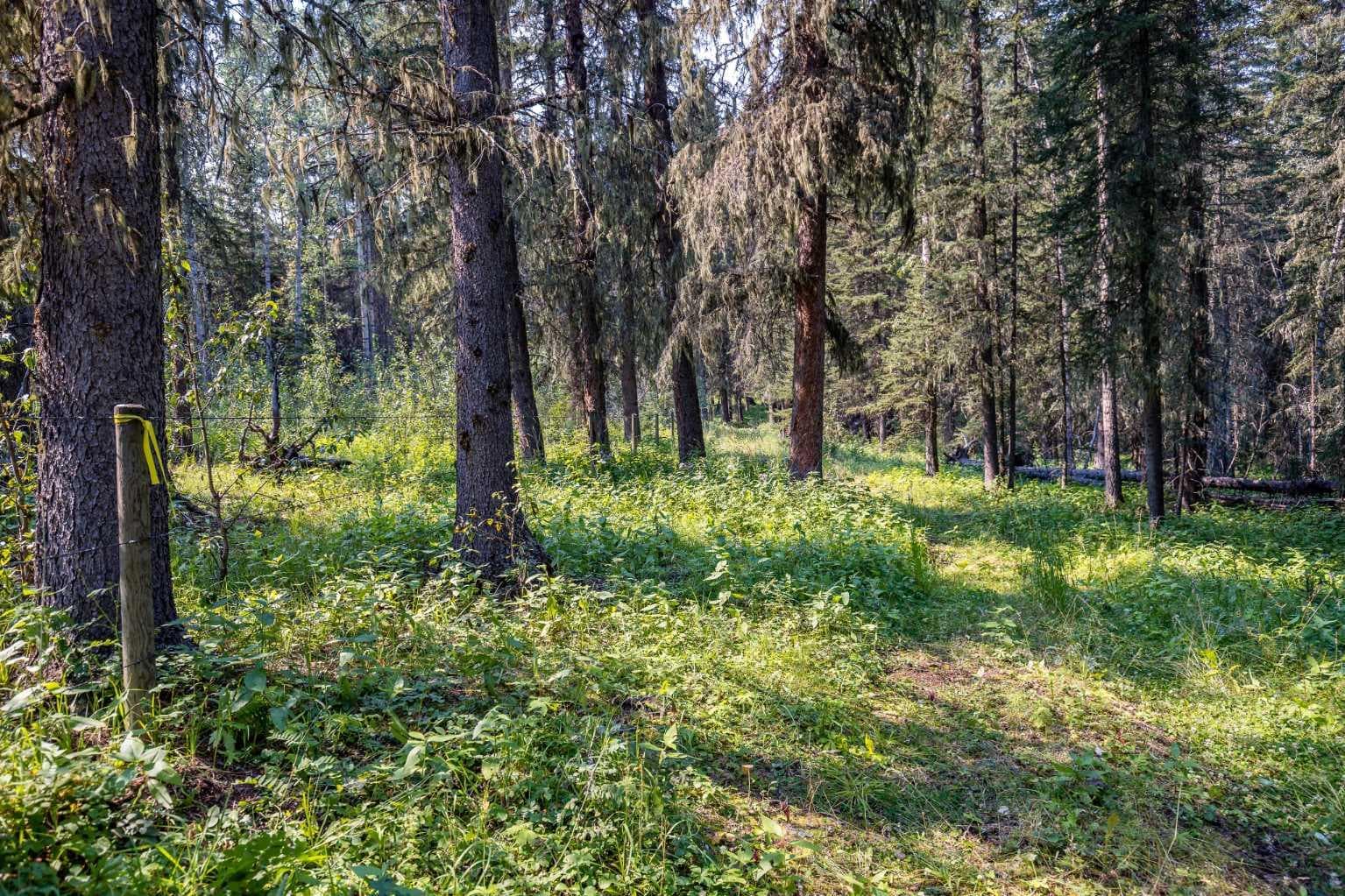 264033 Range Road 71  