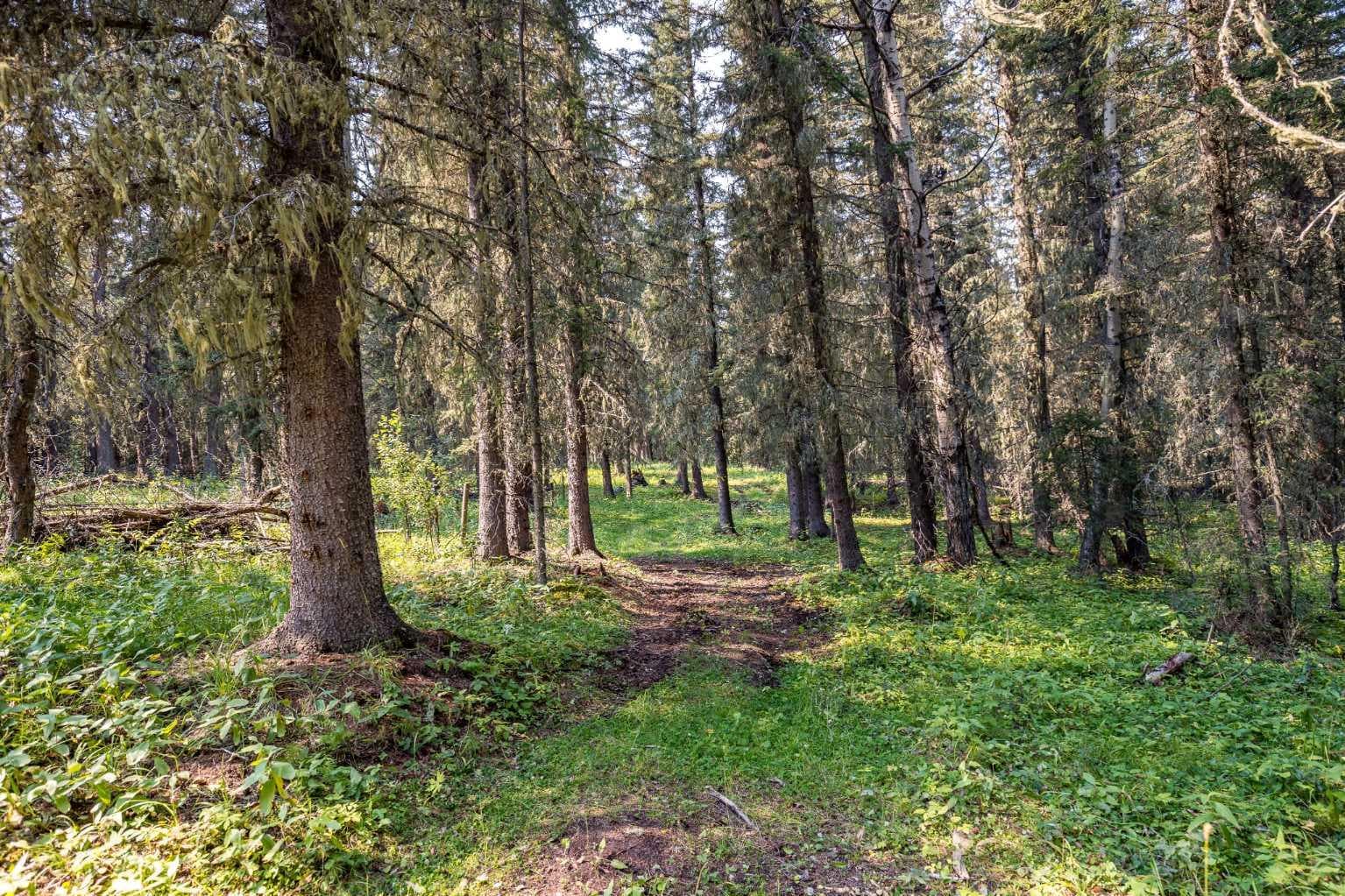 264033 Range Road 71  