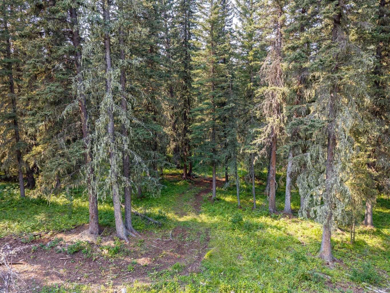 264033 Range Road 71  