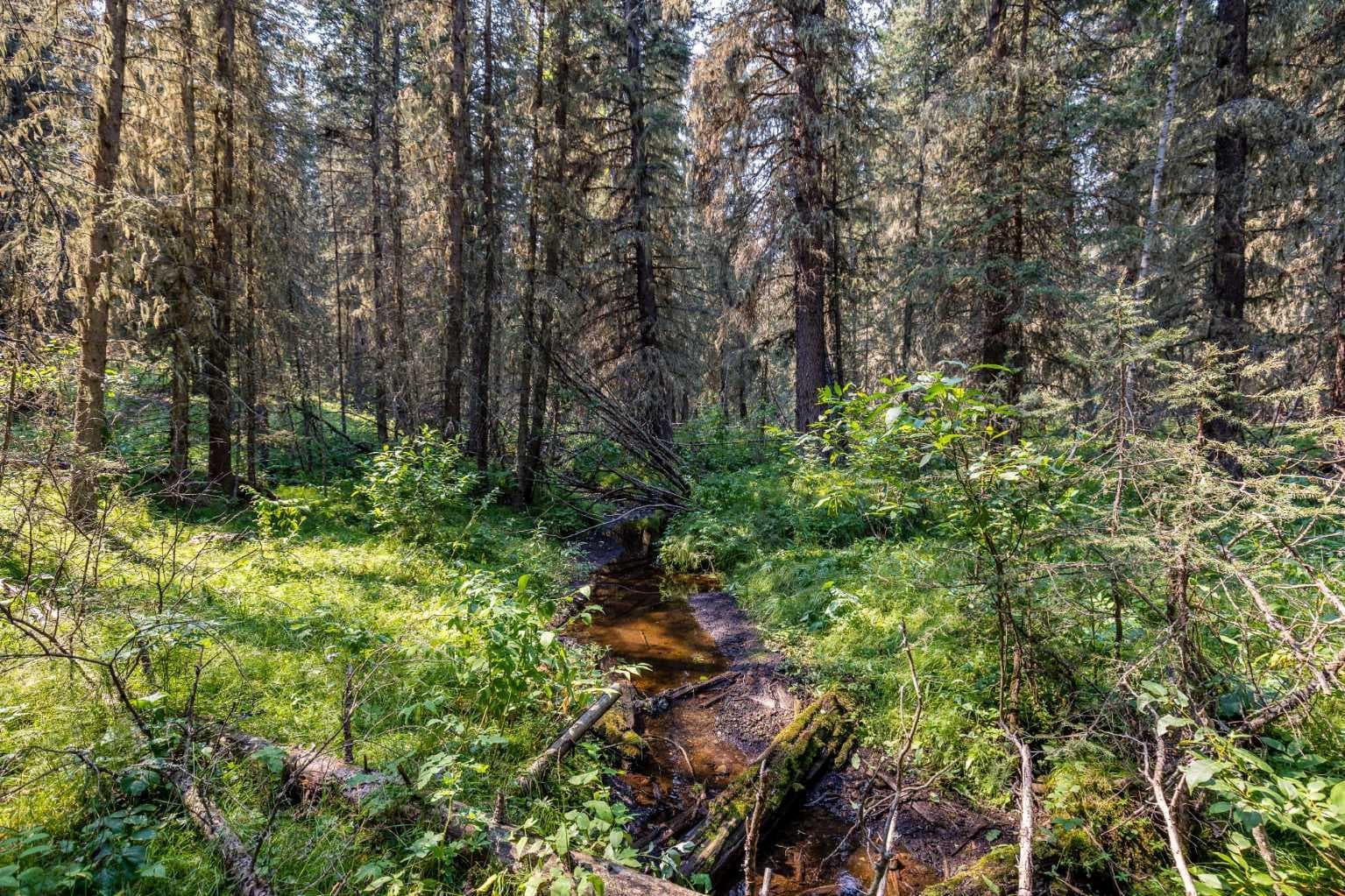 264033 Range Road 71  