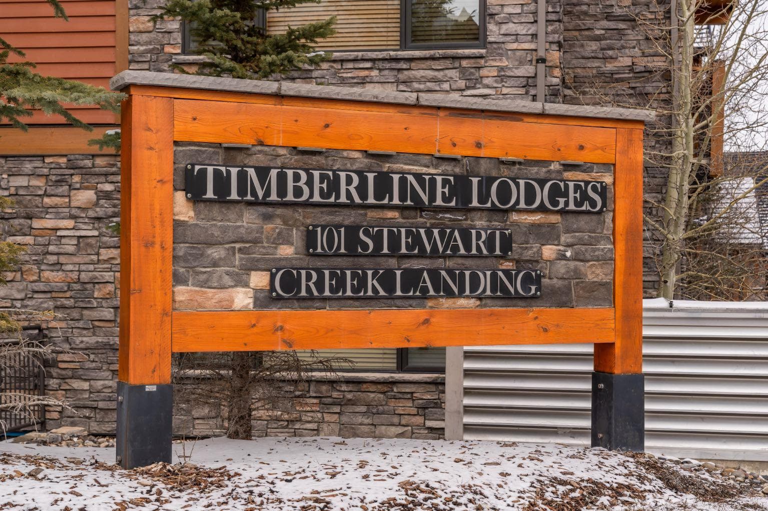 2207, 101B Stewart Street Landing  