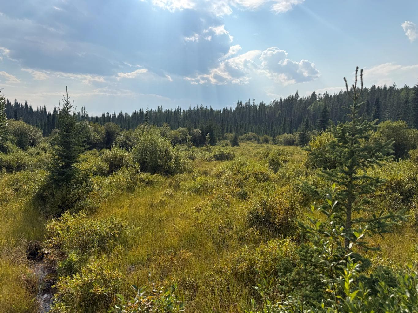 63067 Township Road 311  