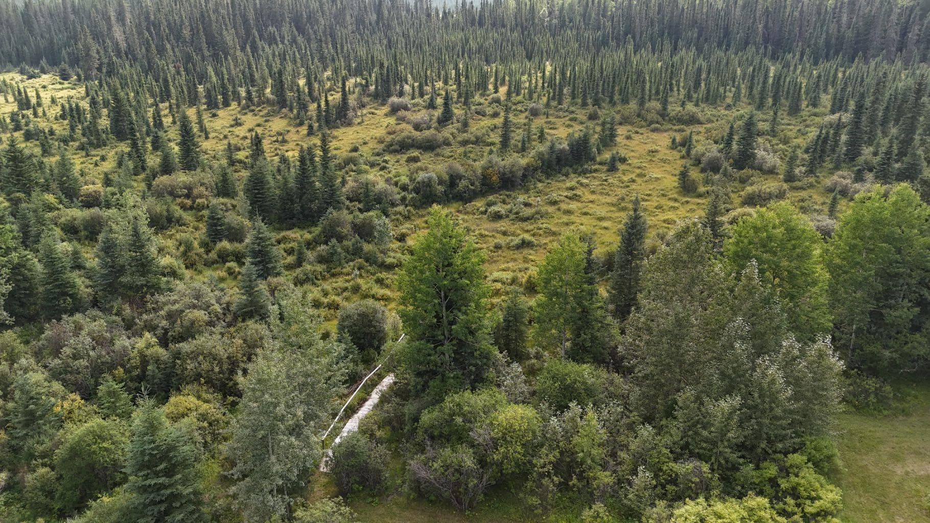 63067 Township Road 311  