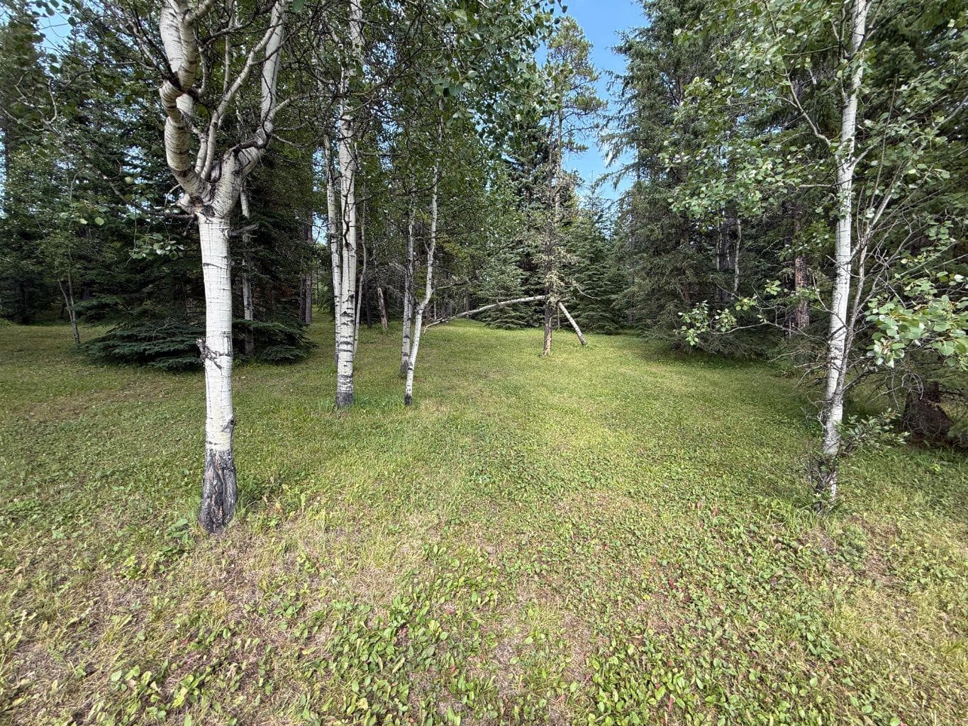 63067 Township Road 311  