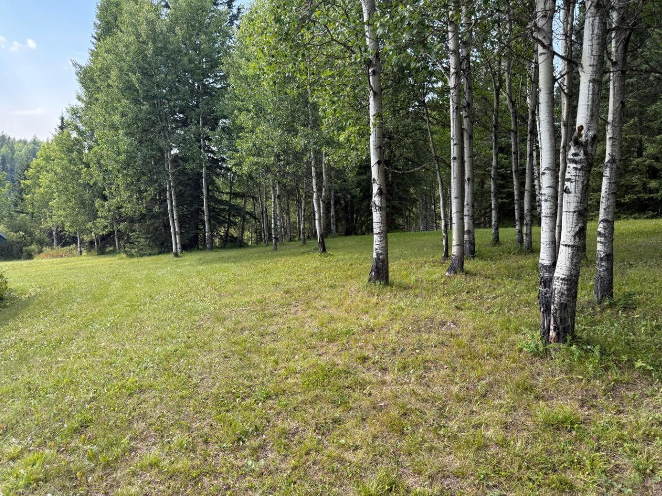 63067 Township Road 311  