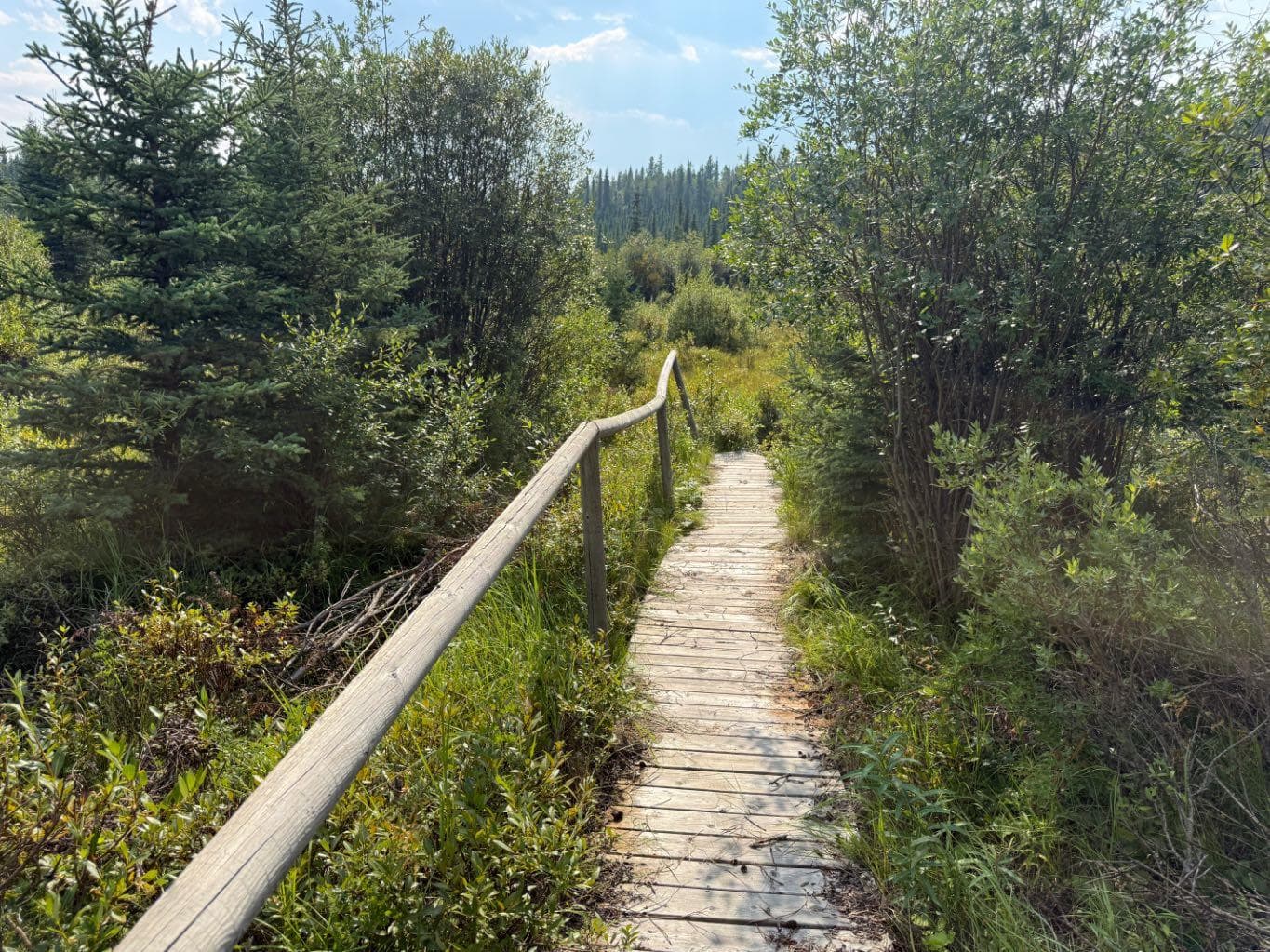 63067 Township Road 311  