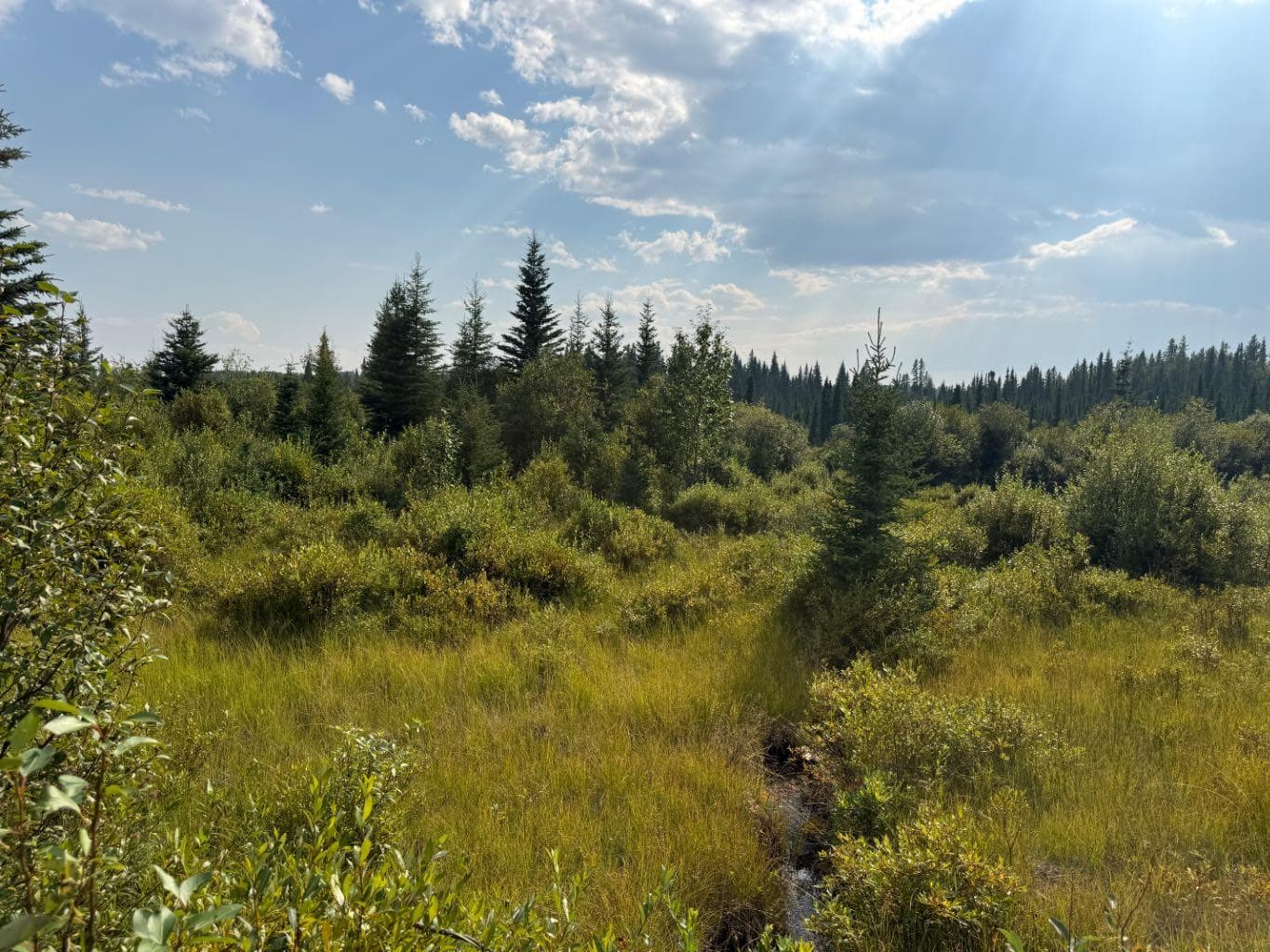 63067 Township Road 311  