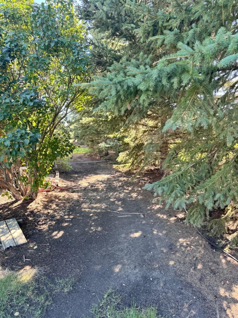 280142, 241A TOWNSHIP ROAD Road 