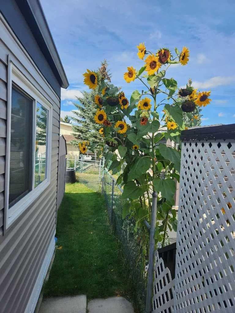 189, 99 Arbour Lake Road NW