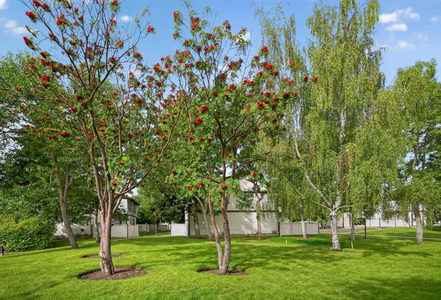 33, 3200 60 Street NE