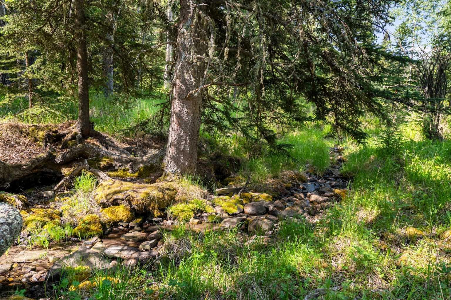 61080 Larsen Pasture Road 