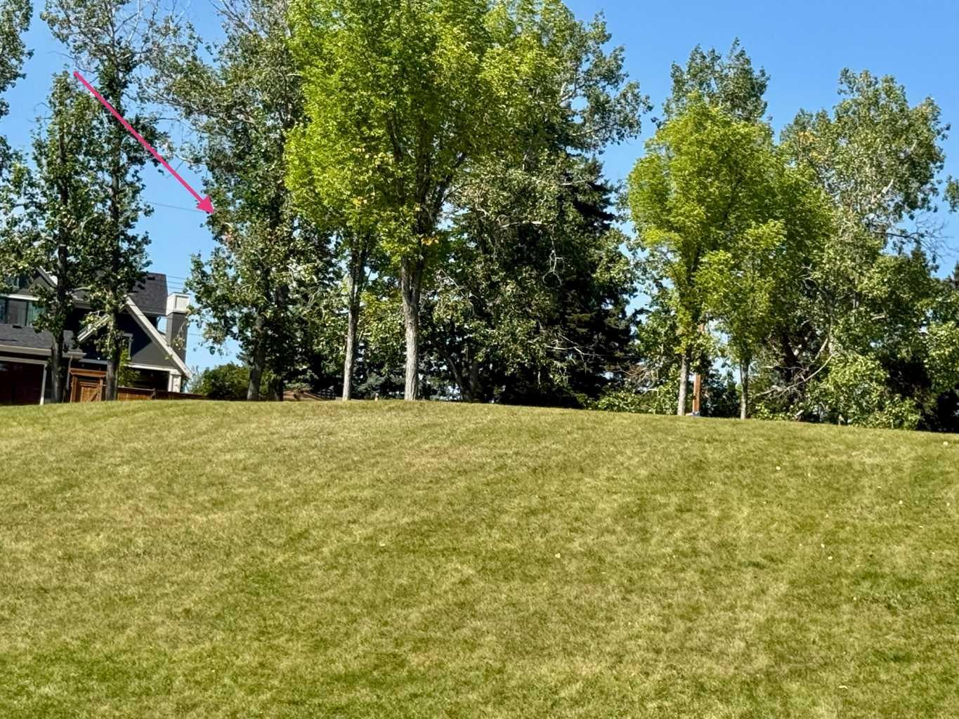 15 Rosery Drive NW