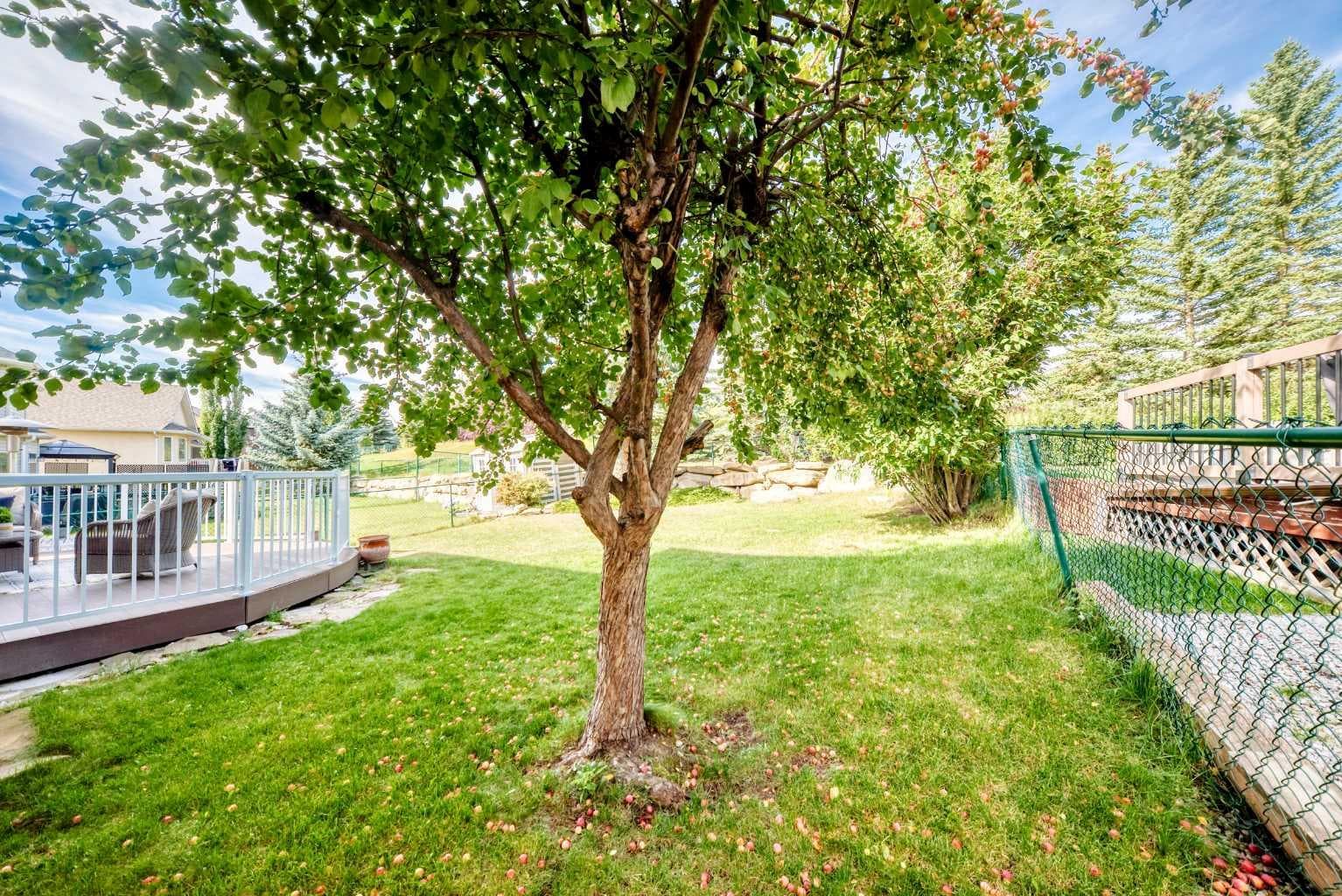 110 Sienna Park Terrace SW