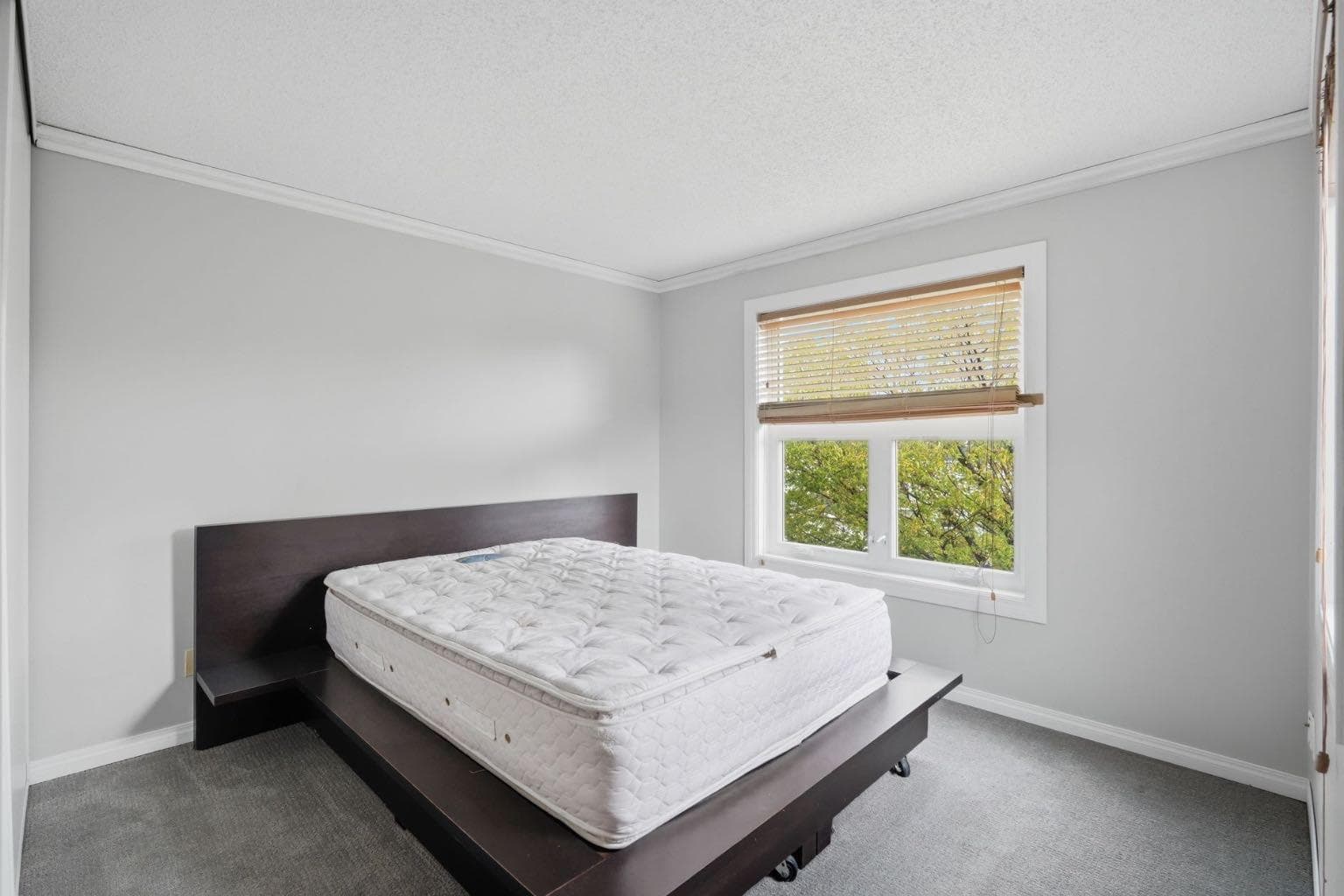106 Inglewood Point SE