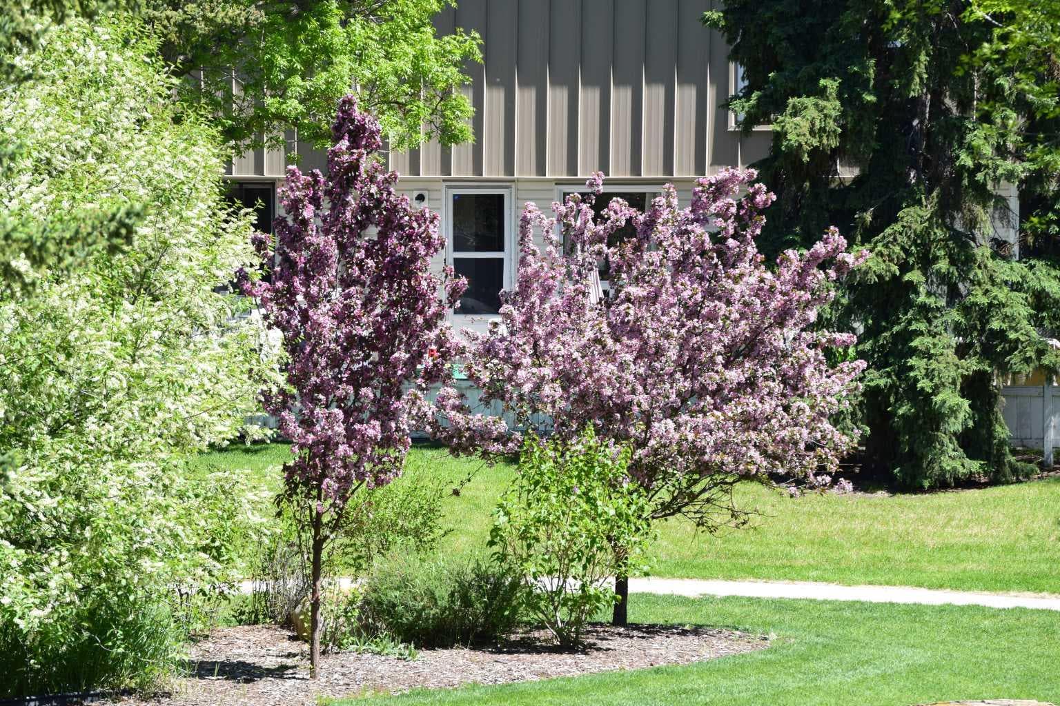 386 Brae Glen Crescent SW